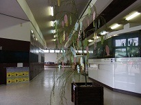 0701笹の葉